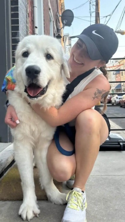 Esse cachorro estava doente e perdendo as esperanças - até que as pessoas certas chegaram