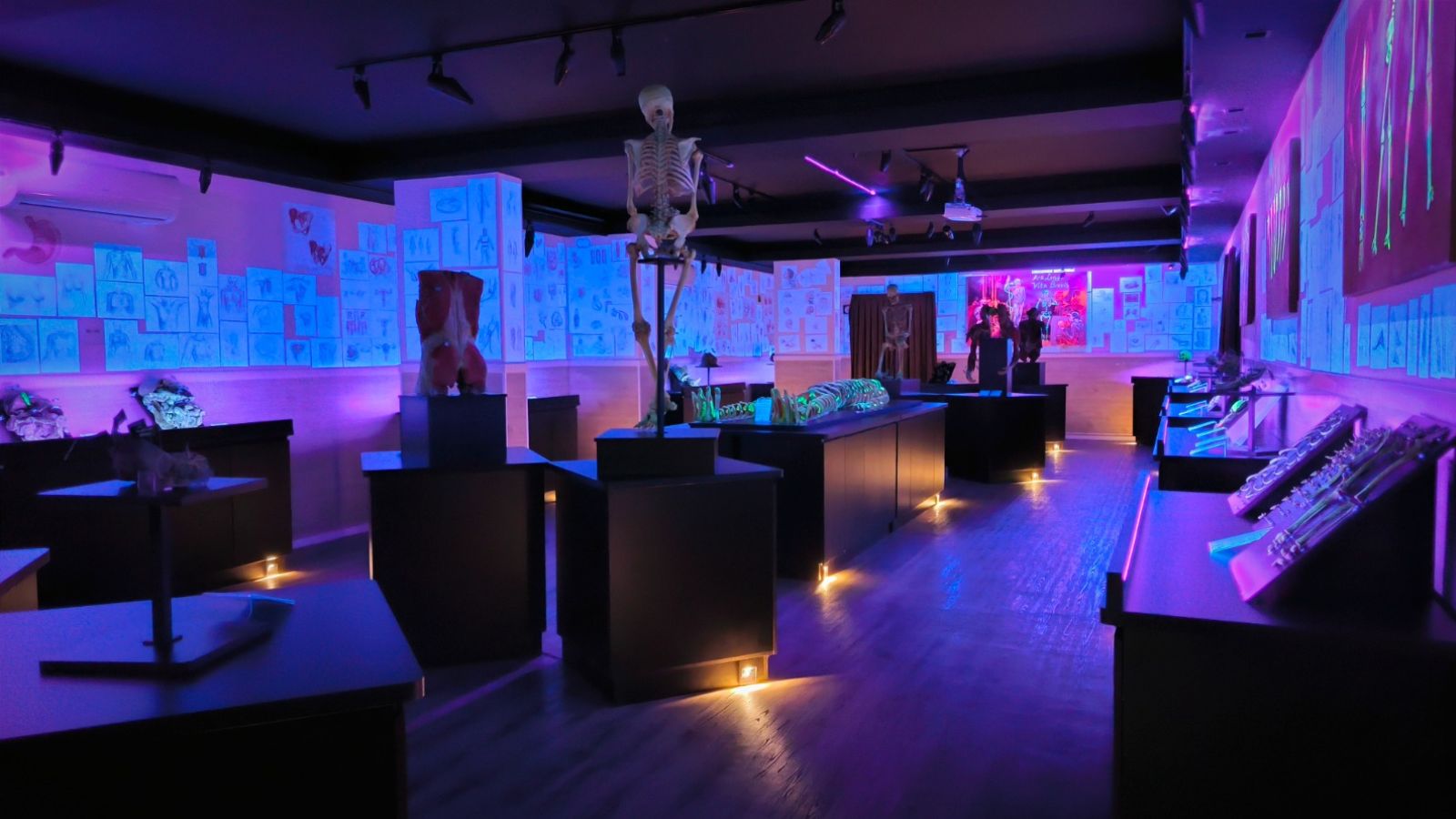 Exposição Faculdade de Medicina