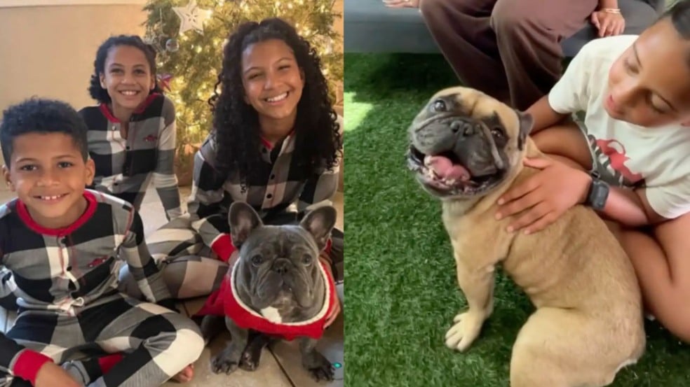 Família de Baby e Rocco Família de Baby e Rocco