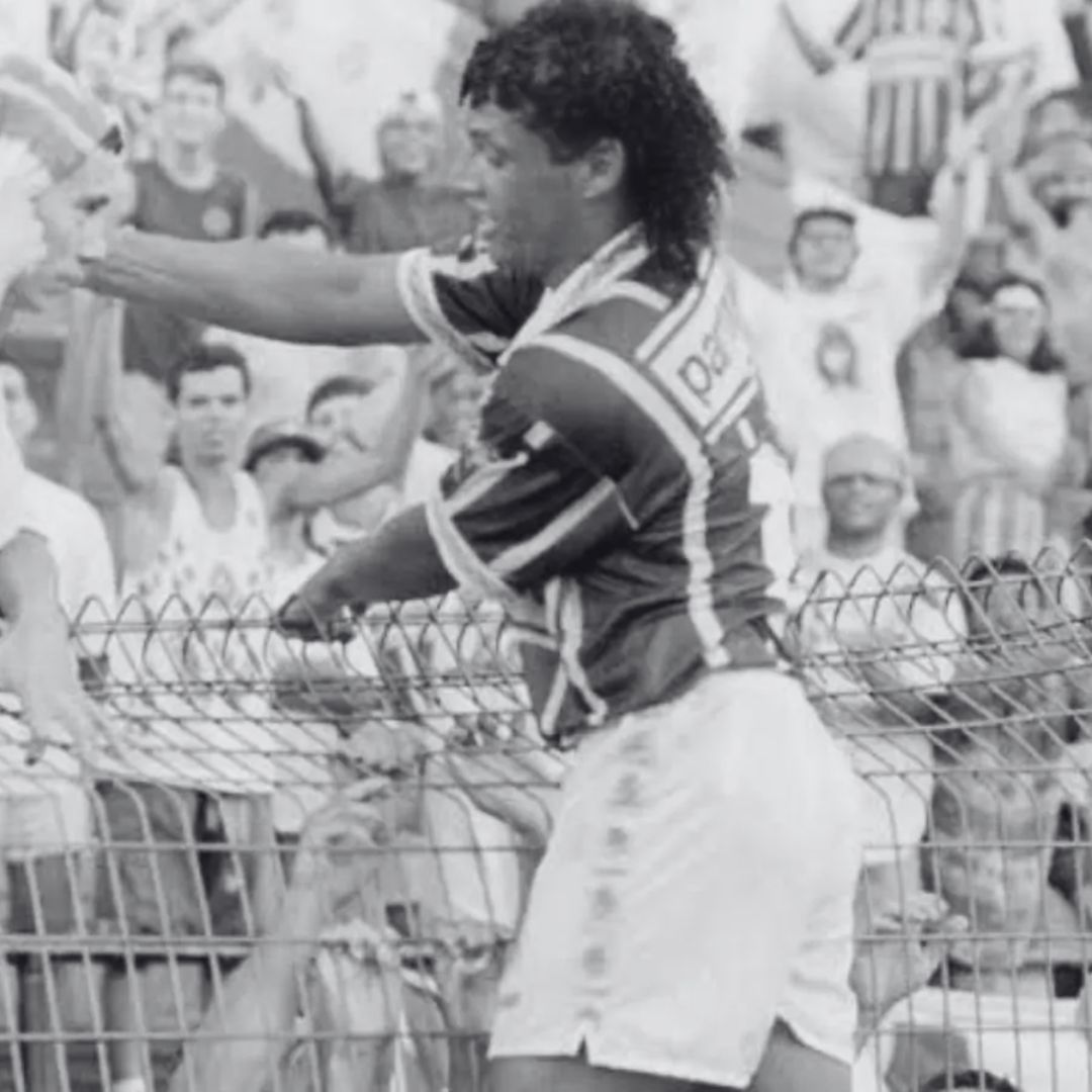 Tonhão do Palmeiras