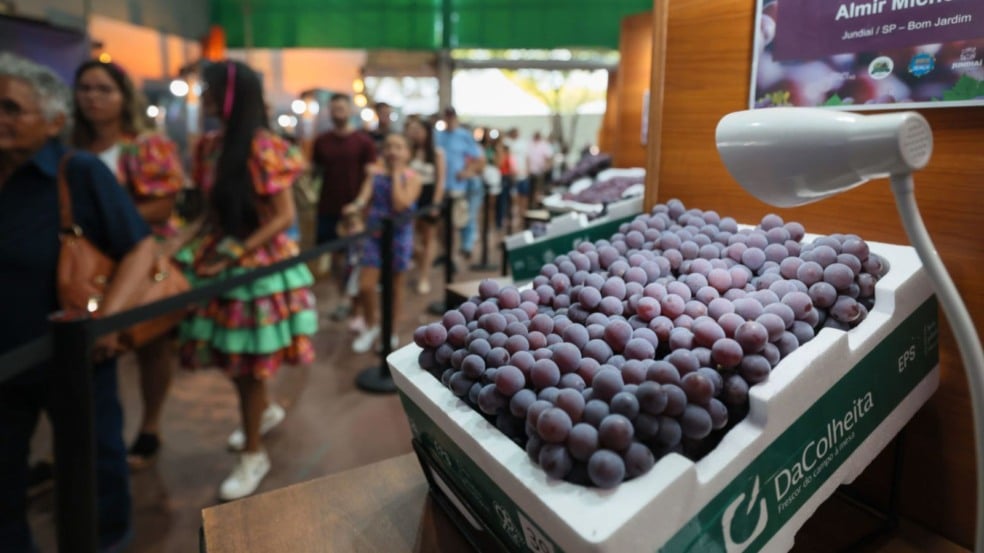 Uvas da Festa da Uva