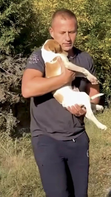 Homem resgata filhote de cachorro abandonado na beira da estrada