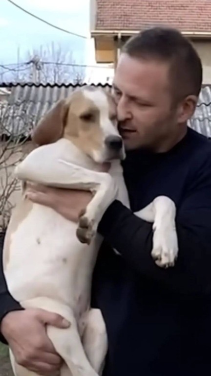 Homem resgata filhote de cachorro abandonado na beira da estrada