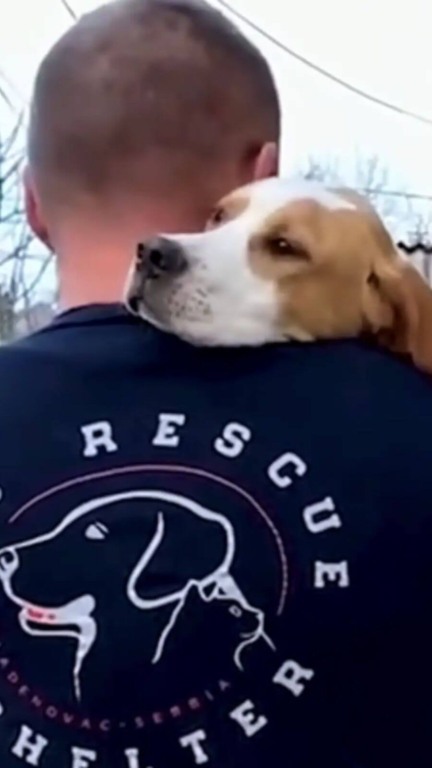 Homem resgata filhote de cachorro abandonado na beira da estrada