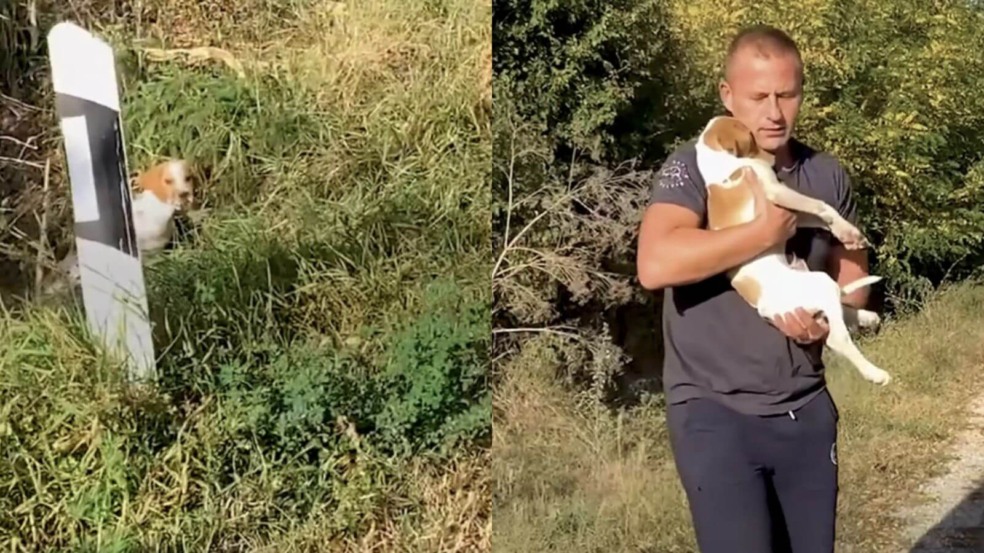 Homem resgata filhote de cachorro abandonado na beira da estrada