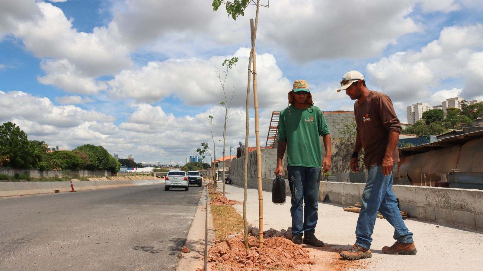 Arborização na Avenida Frederico Ozanan