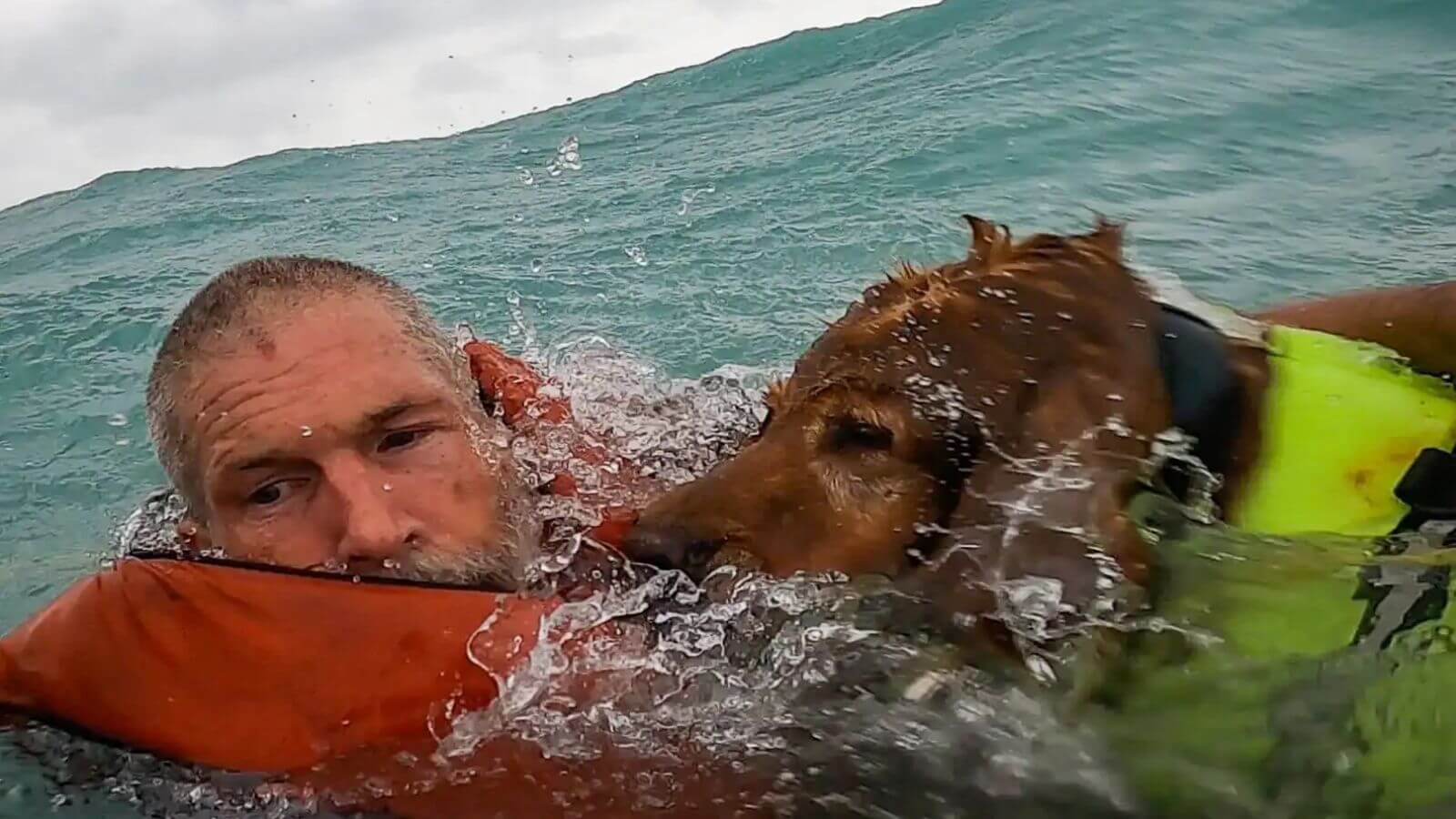 Guarda Costeira resgata homem e seu cachorro de um veleiro durante furacão