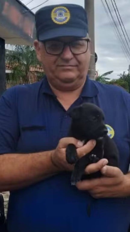 Guarda Municipal adota filhote de cachorro resgatado de caçamba de lixo