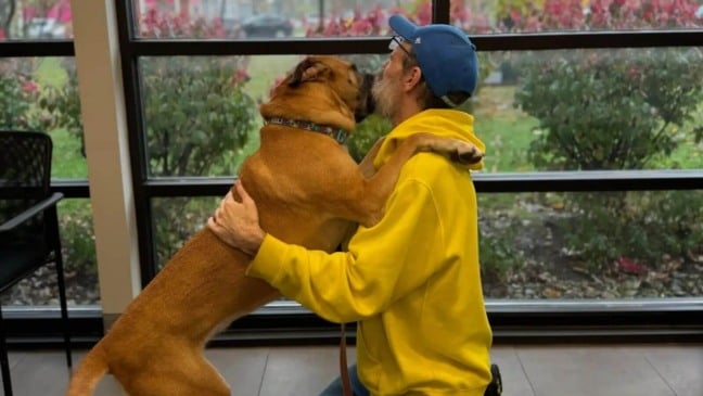 Reencontro de tutor curado de câncer com cachorro