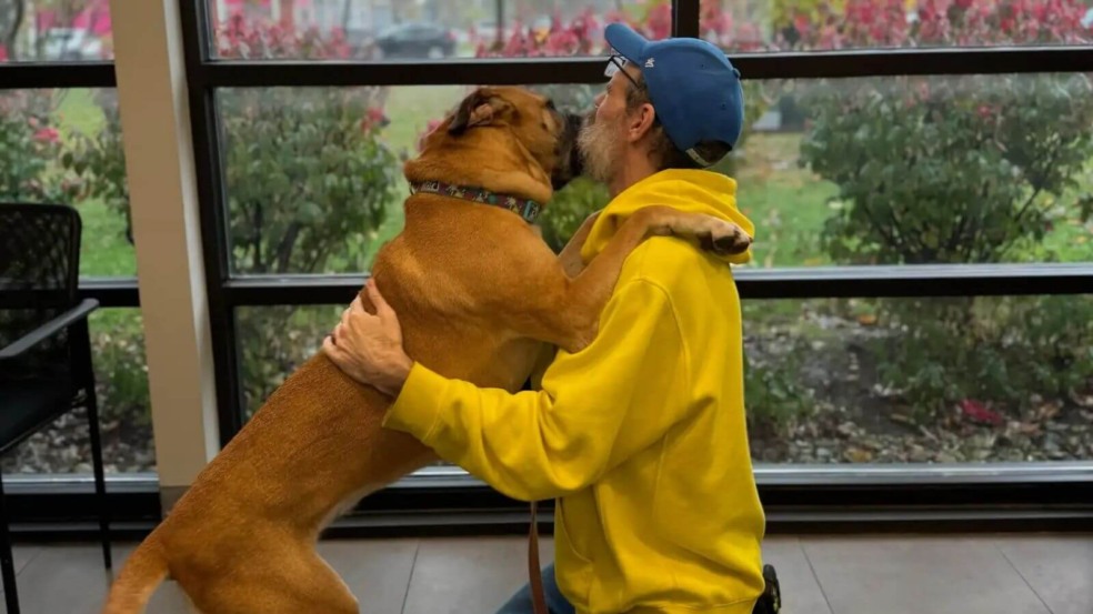 Reencontro de tutor curado de câncer com cachorro