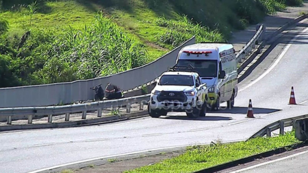 Homem é encontrado morto na Via Anhanguera, em Jundiaí Homem é encontrado morto na Via Anhanguera, em Jundiaí