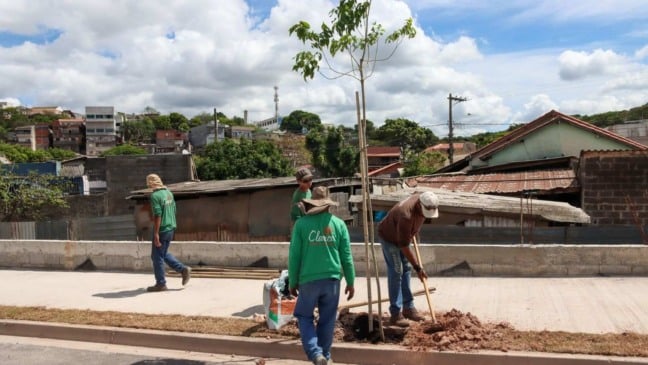 Arborização na Avenida Frederico Ozanan
