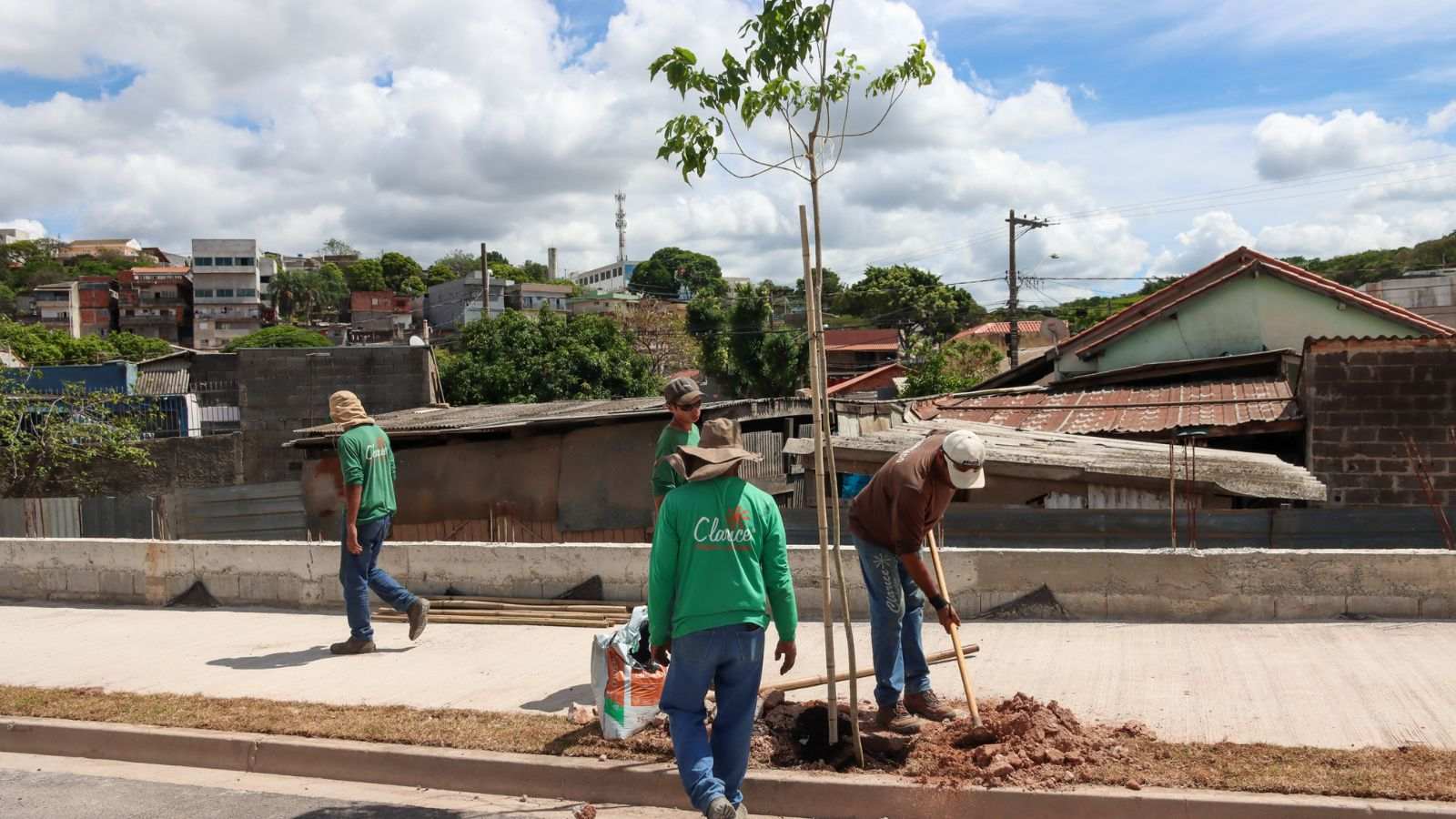 Arborização na Avenida Frederico Ozanan