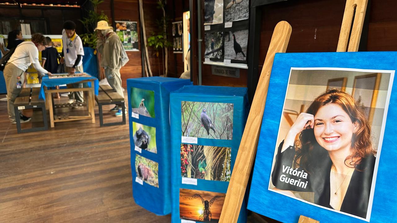 Exposição no Mundo das Crianças