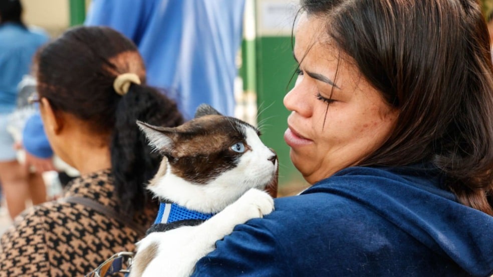 Gato e mulher; representação do mutirão de castração