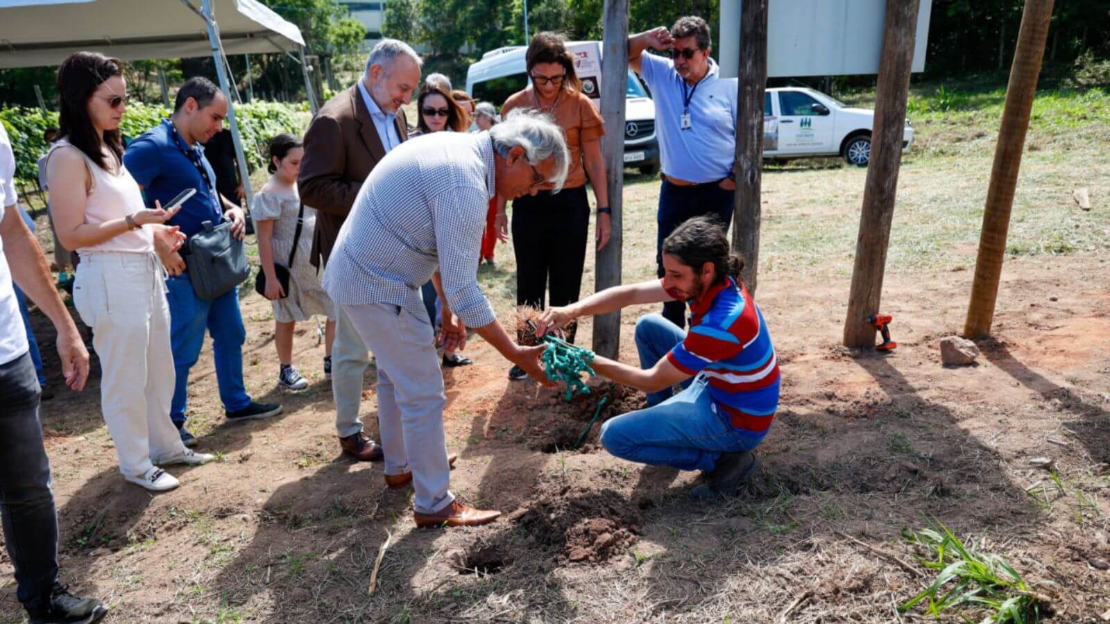 Jundiaí recebe mais de 200 mudas da uva italiana Tocai Rosso