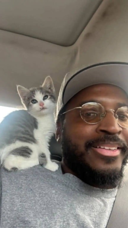 Gato com motorista de caminhão