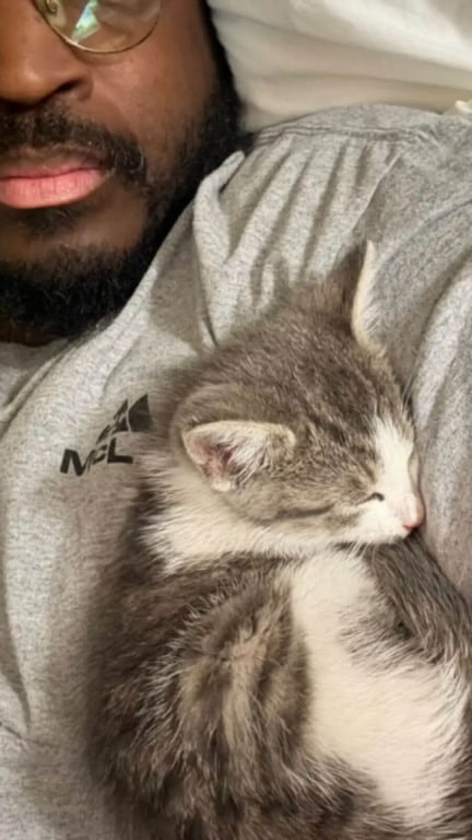 Gato com motorista de caminhão