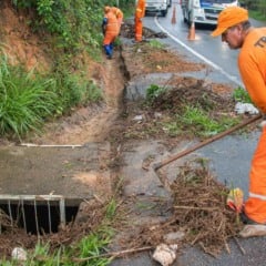 Limpeza boca de lobo Limpeza boca de lobo