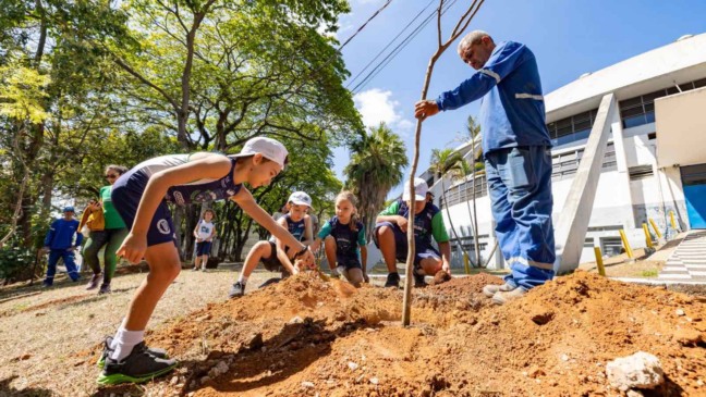 Plantio de árvores Plantio de árvores