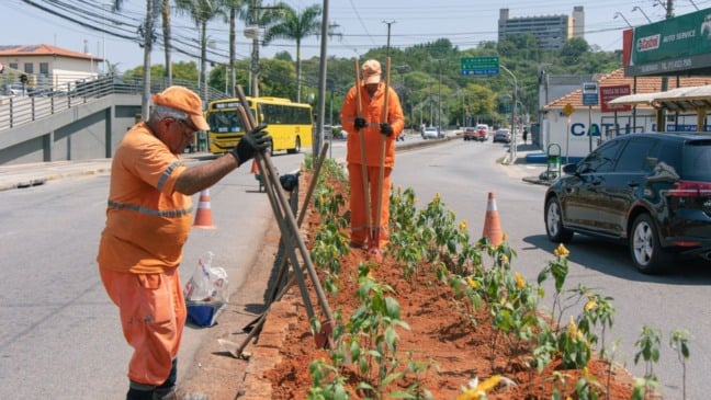 Revitalização de canteiros