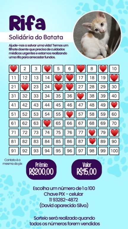 Rifa do Batata