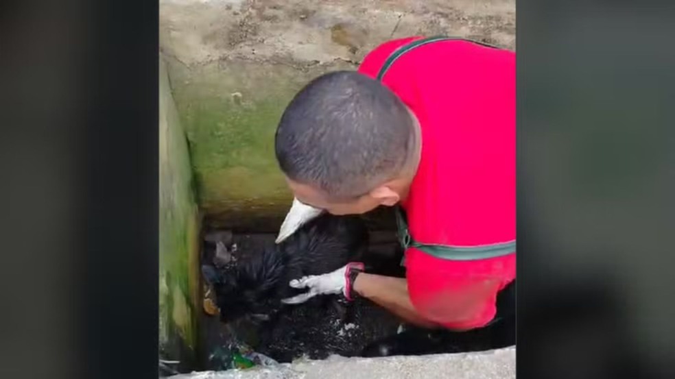Bombeiro de Cabreúva resgatando o cão