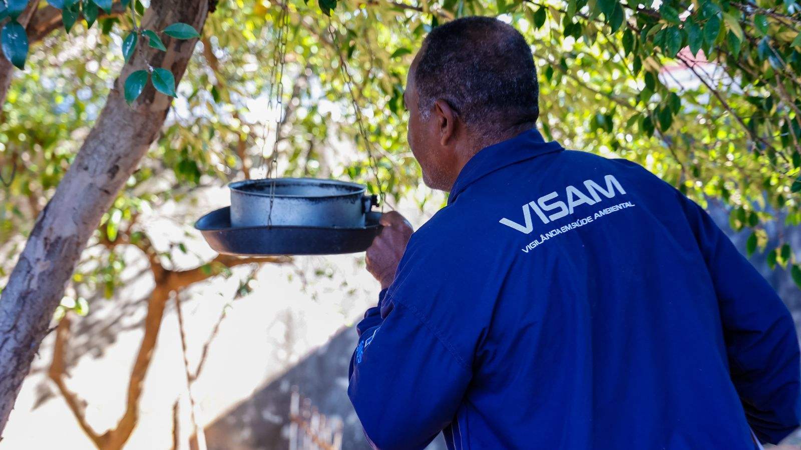 Visam contra a Dengue