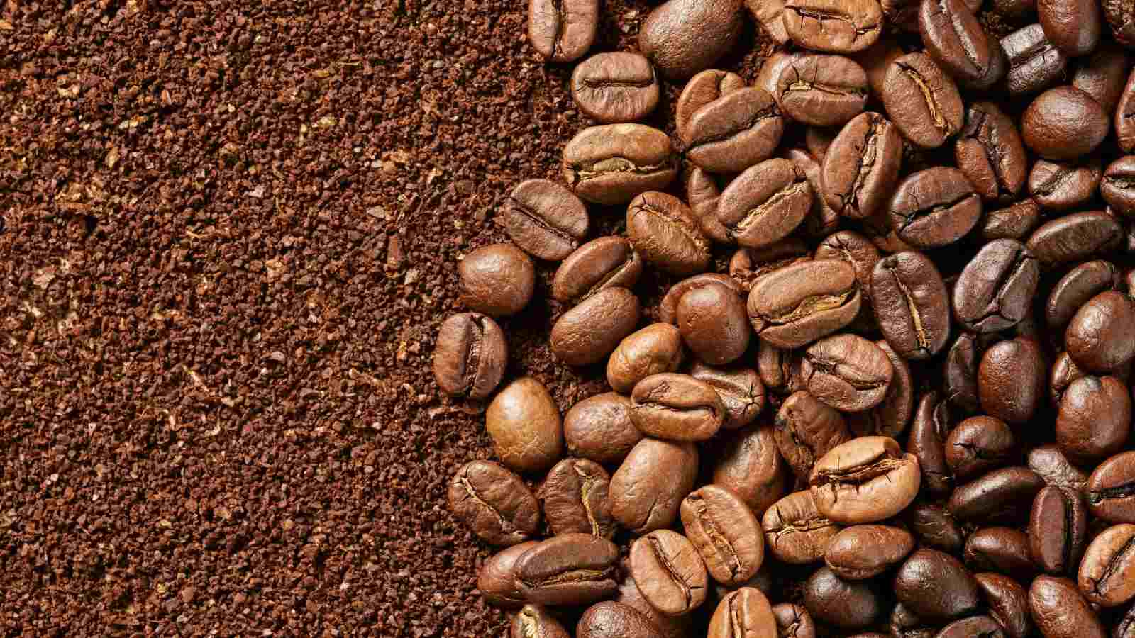 Grãos de café torrado ao lado de café moído em close-up.