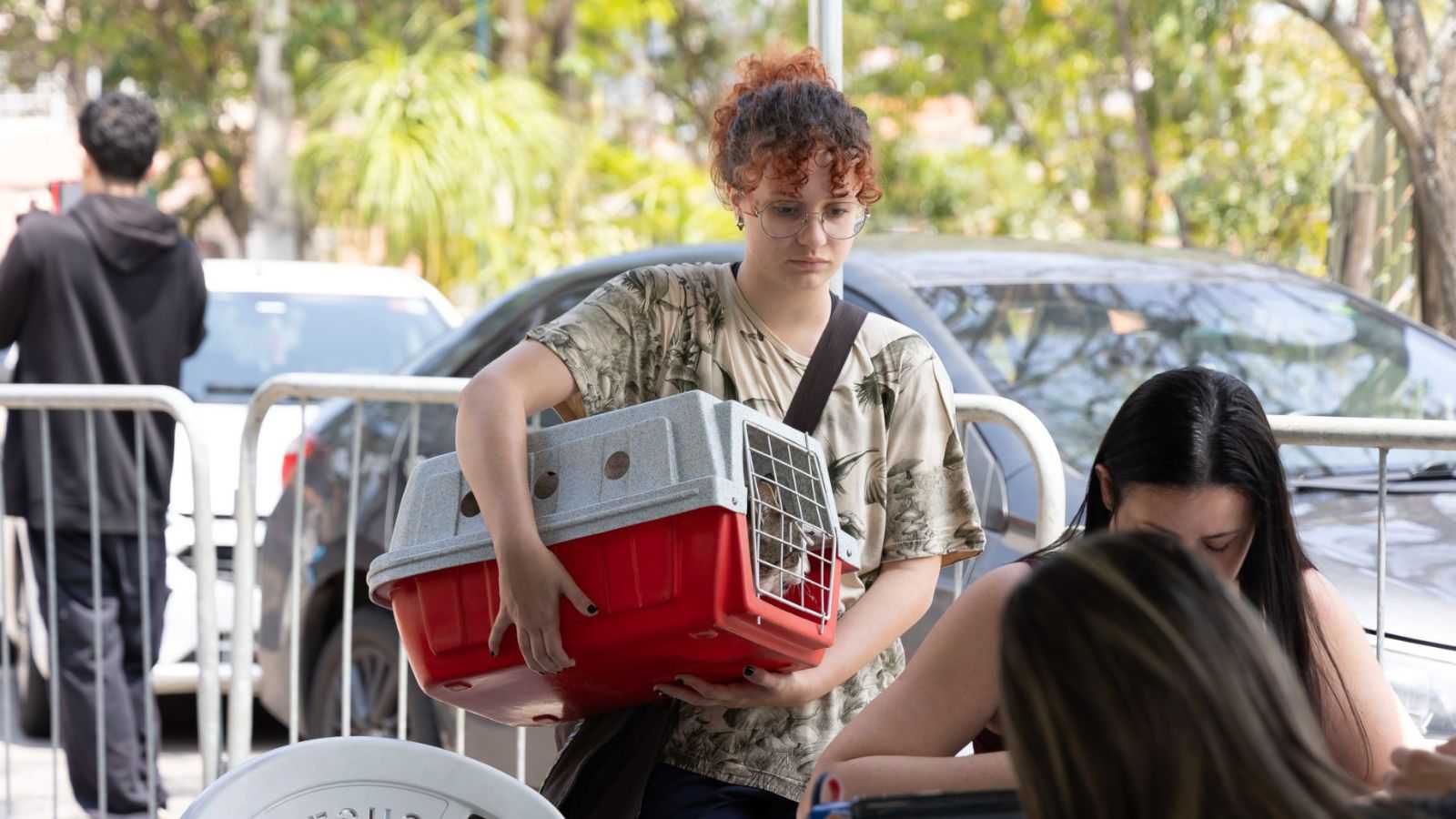 Tutora realiza cadastro no Castramóvel em Jundiaí levando gato em caixa de transporte para castração gratuita.