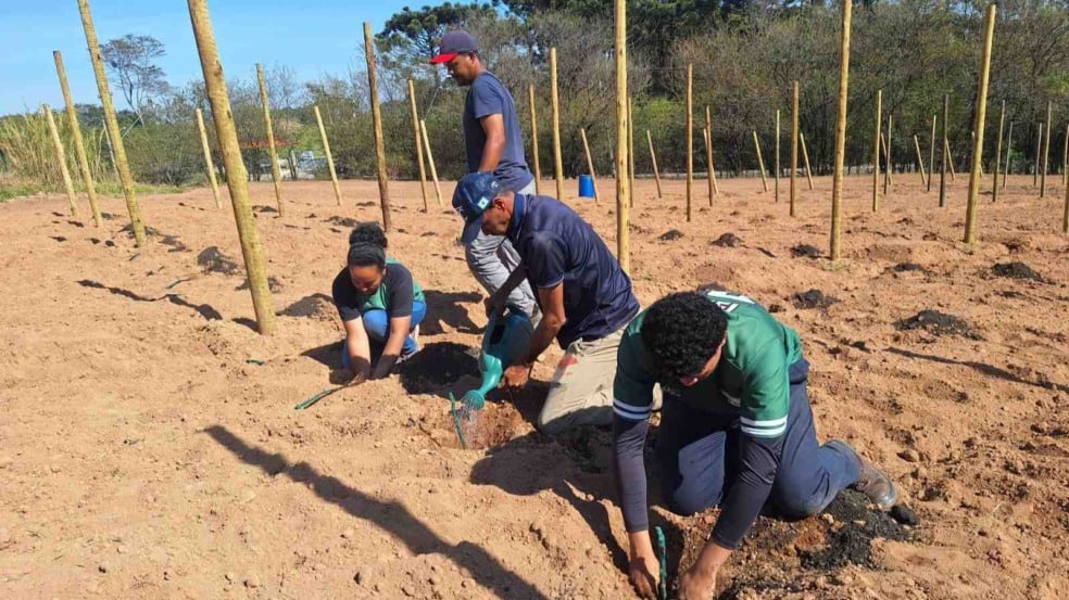 Estudantes da Etec Benedito Storani ajoelhados no solo durante o plantio de mudas de uva, em área preparada com estacas de madeira, sob céu azul e vegetação ao fundo.