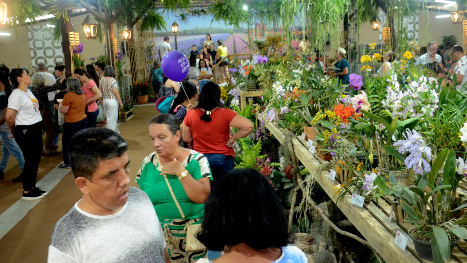 Pessoas observam diferentes espécies de orquídeas na exposição da Festa das Orquídeas de Várzea Paulista 2025.