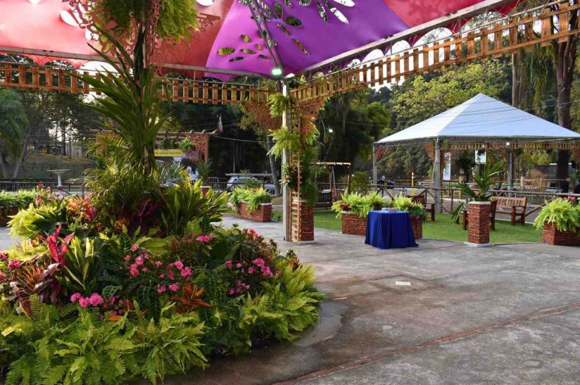 Decoração floral com orquídeas na Festa das Orquídeas em Várzea Paulista 2025