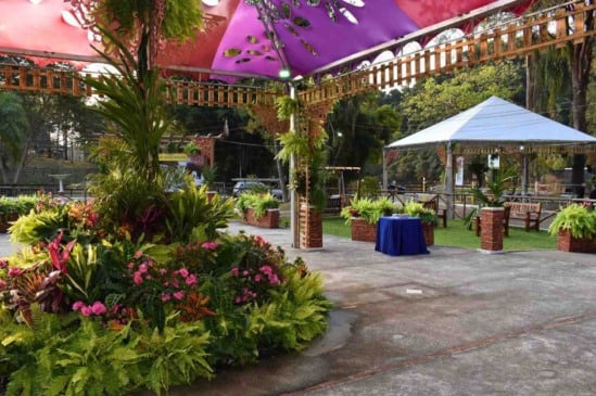 Decoração floral com orquídeas na Festa das Orquídeas em Várzea Paulista 2025