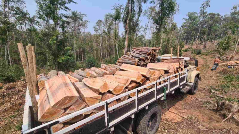 Itupeva flagra ação de crime ambiental.