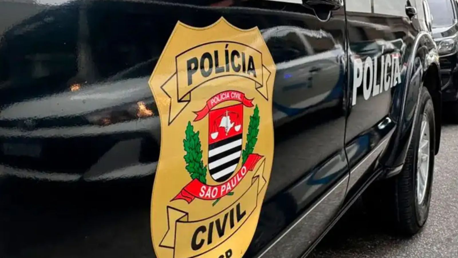 Carro da Polícia Civil de São Paulo com brasão oficial visível na porta.