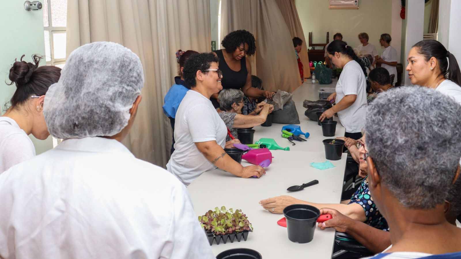 Idosos e cuidadores participam de oficina de jardinagem em grupo no Lar Nossa Senhora das Graças, em Jundiaí, manipulando vasos e mudas de plantas em uma mesa comprida.