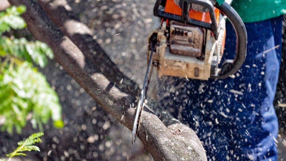 Trabalhador corta galho de árvore com motosserra durante serviço de poda urbana em Jundiaí.