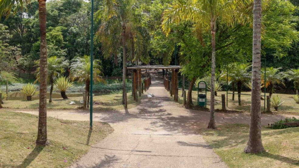 Entrada do Parque Botânico Tulipas Professor Aziz Ab’Saber com ponte de madeira, lago e vegetação tropical ao fundo. Entrada do Parque Botânico Tulipas Professor Aziz Ab’Saber com ponte de madeira, lago e vegetação tropical ao fundo.