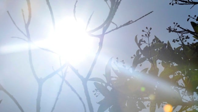 Sol forte no céu azul com galhos e folhas em destaque, representando o calor intenso em Jundiaí antes da chegada da frente fria.