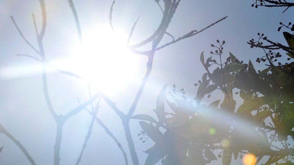 Sol forte no céu azul com galhos e folhas em destaque, representando o calor intenso em Jundiaí antes da chegada da frente fria. Sol forte no céu azul com galhos e folhas em destaque, representando o calor intenso em Jundiaí antes da chegada da frente fria.