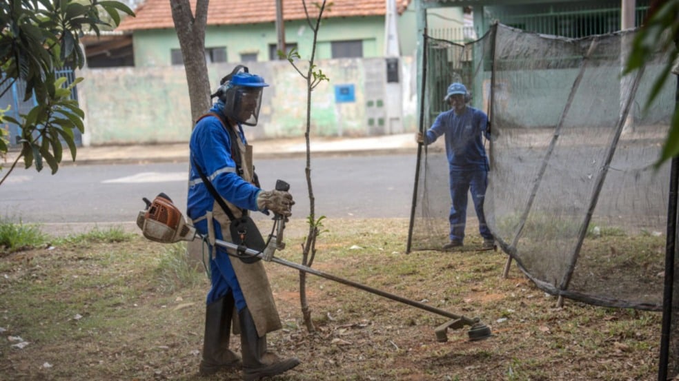 programa quem ama cuida de jundiaí programa quem ama cuida de jundiaí