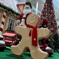 Papai Noel e biscoito