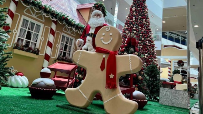 Papai Noel e biscoito