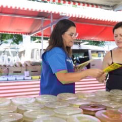 Mutirão contra dengue