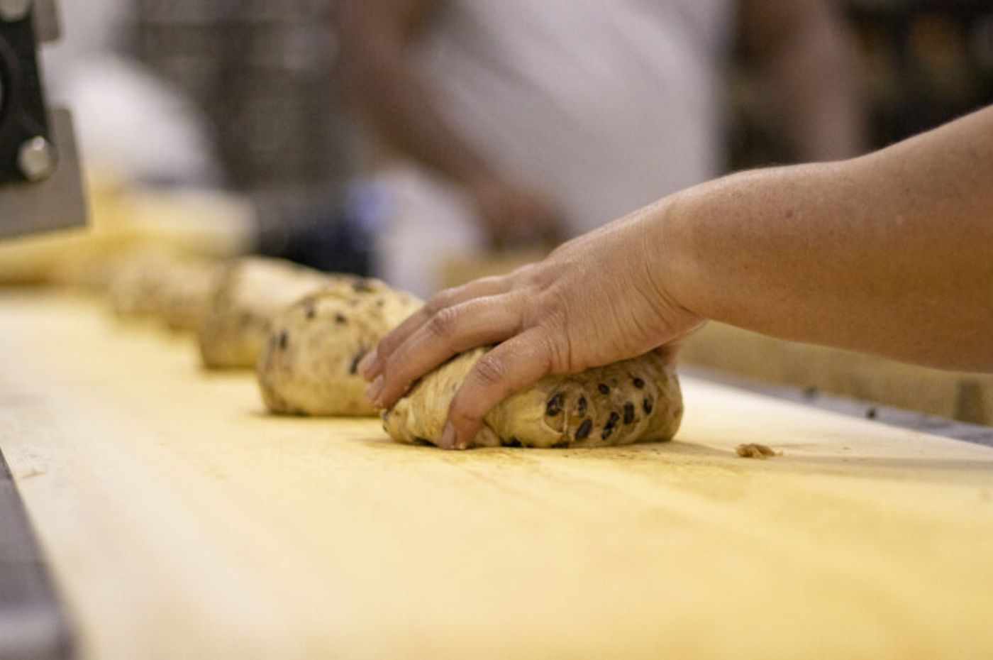 Foto: Divulgação/Romanato Foto: Divulgação/Romanato