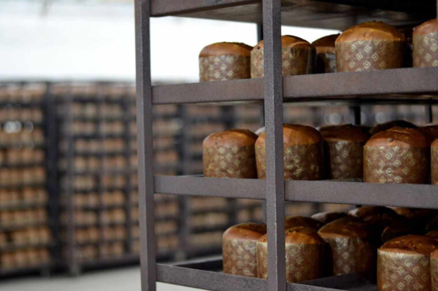 Foto: Divulgação/Romanato Foto: Divulgação/Romanato