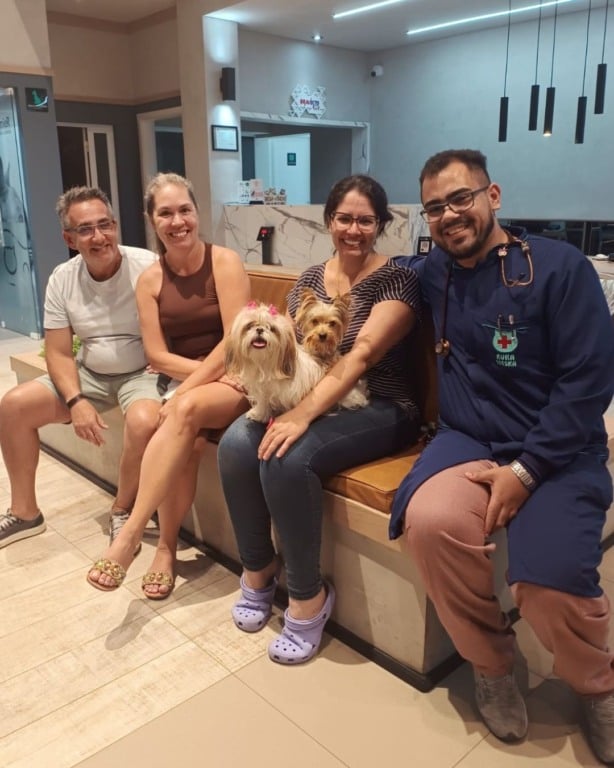 cachorro perdido em jundiaí