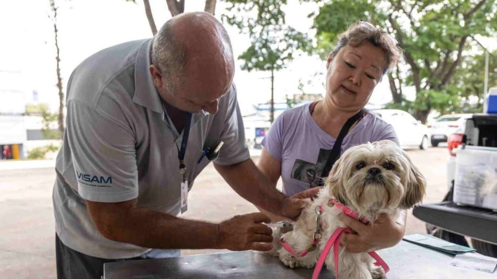 Profissional da VISAM vacinando um cachorro de pequeno porte enquanto a tutora o segura, durante a campanha de vacinação antirrábica em Jundiaí.