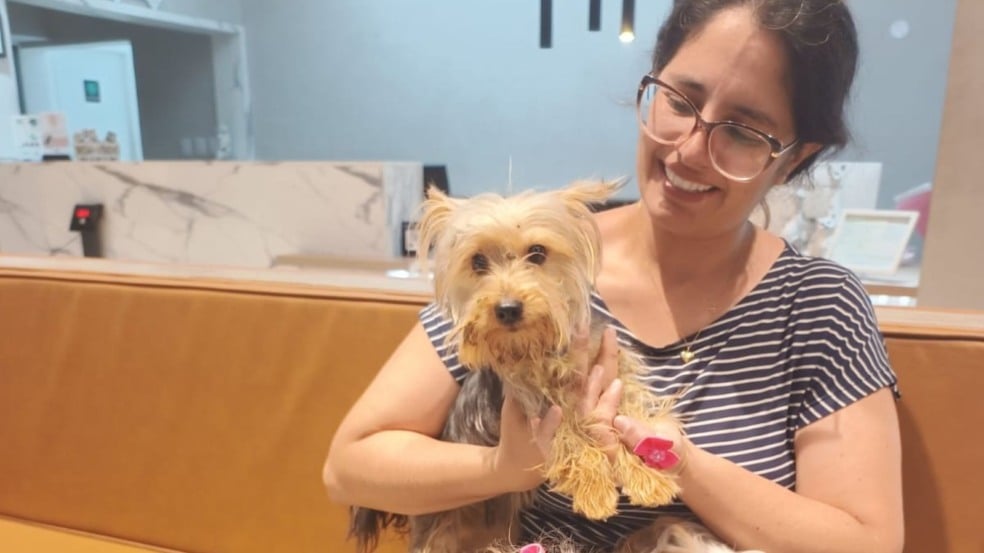 cachorro perdido em jundiaí